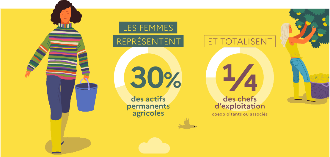 Les femmes dans l’agriculture