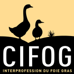 Logo CIFOG