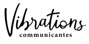 Logo Vibrations