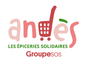 Logo Andes